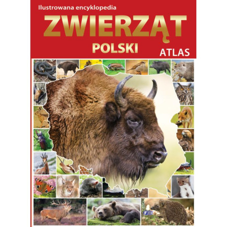 ATLAS ZWIERZĄT POLSKI. ILUSTROWANA ENCYKLOPEDIA