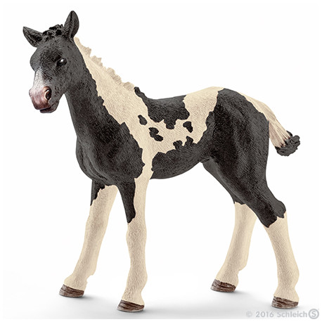 Schleich - Rasa Pinto - źrebię 13803