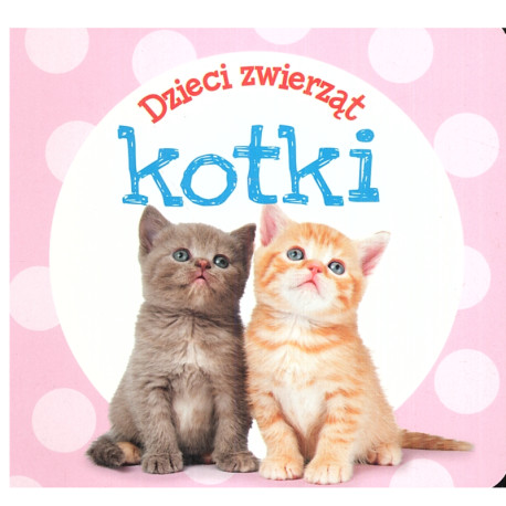 DZIECI ZWIERZĄT KOTKI