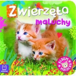 ZWIERZĘTA MALUCHY ALBUM MALUCHA