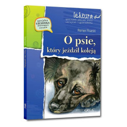 O PSIE, KTÓRY JEŹDZIŁ KOLEJĄ. OPRACOWANIE I STRESZCZENIE