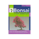 BONSAI Z ROŚLIN POKOJOWYCH