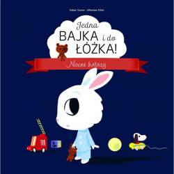 JEDNA BAJKA I DO ŁÓŻKA! NOCNE HAŁASY Didier Zanon, Sebastien Pelon