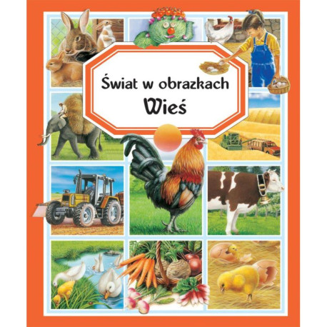 WIEŚ. ŚWIAT W OBRAZKACH 9+