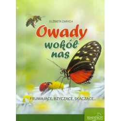 Owady wokół nas