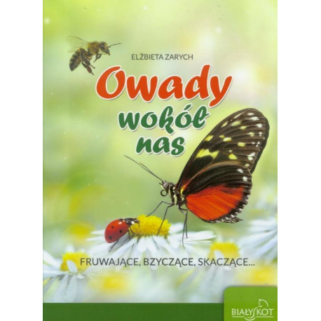 Owady wokół nas