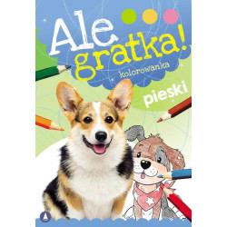 PIESKI. ALE GRATKA!