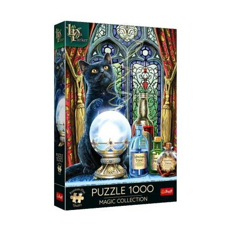 PUZZLE 1000 PREMIUM PLUS  MAGIC COLLECTION UCZEŃ CZAROWNICY 10898 OUTLET