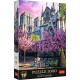 PUZZLE 1000 PREMIUM PLUS PHOTO ODYSSEY KATEDRA NOTRE DAME W PARYŻU 10858 OUTLET