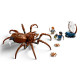 LEGO 76434 Harry Potter Aragog w Zakazanym Lesie OUTLET