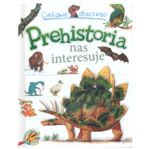 CIEKAWE DLACZEGO PREHISTORIA NAS INTERESUJE CIEKAWE DLACZEGO PREHISTORIA NAS INTERESUJE