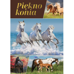 PIĘKNO KONIA