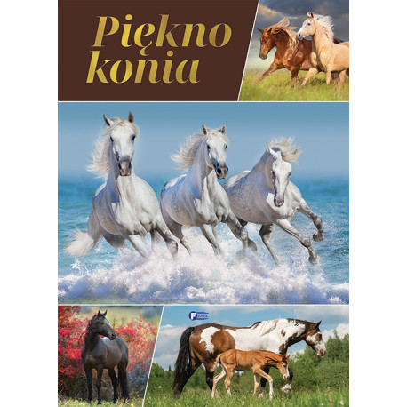 PIĘKNO KONIA