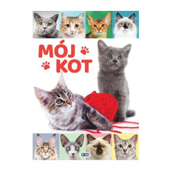 MÓJ KOT