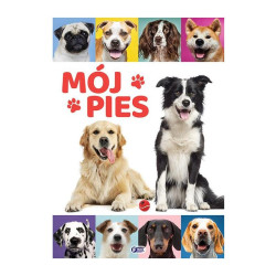 MÓJ PIES