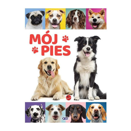 MÓJ PIES