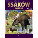ILUSTROWANA ENCYKLOPEDIA SSAKÓW POLSKI