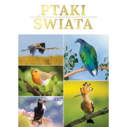 PTAKI ŚWIATA