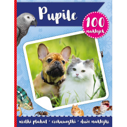 PUPILE. 100 NAKLEJEK