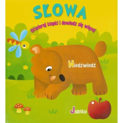 SŁOWA. OTWIERAJ KLAPKI I DOWIEDZ SIĘ WIĘCEJ