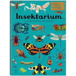 INSEKTARIUM. MUZEUM OWADÓW. W MUZEUM