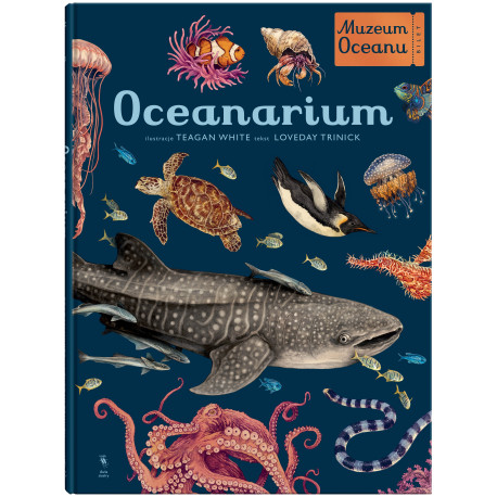 OCEANARIUM. MUZEUM OCEANU WYD. 2023