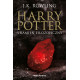 HARRY POTTER I KAMIEŃ FILOZOFICZNY. HARRY POTTER (CZARNA EDYCJA)