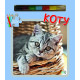 Koty (brak kredek). Książeczki z puzzlami, kolorowankami i kolorową kredką
