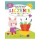 LICZENIE. POZNAJĘ LICZBY I UCZĘ SIĘ DODAWAĆ. MOJA PIERWSZA KSIĄŻKA DO NAUKI
