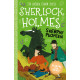 Srebrny Płomień. Klasyka dla dzieci. Sherlock Holmes. Tom 16