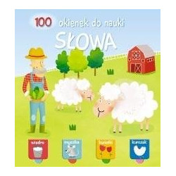 100 OKIENEK DO NAUKI SŁOWA
