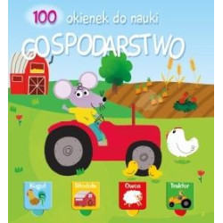 100 OKIENEK DO NAUKI Gospodarstwo