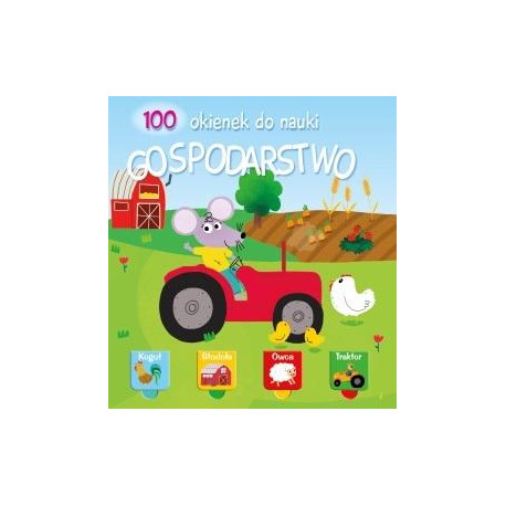 100 OKIENEK DO NAUKI Gospodarstwo