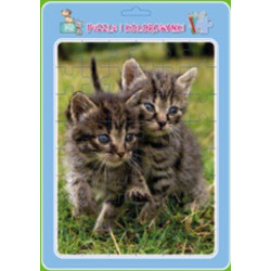 Puzzle w ramce z kolorowanką. Koty MD Creative