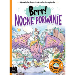 BRRR! NOCNE PORWANIE OPOWIADANIA DO DOSKONALENIA CZYTANIA. ŚWIAT CHŁOPCÓW