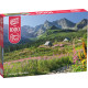 PUZZLE 1000 CHERRYPAZZI GĄSIENICOWA HALL IN TATRAS 30059 Outlet