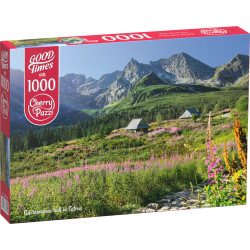 PUZZLE 1000 CHERRYPAZZI GĄSIENICOWA HALL IN TATRAS 30059 Outlet
