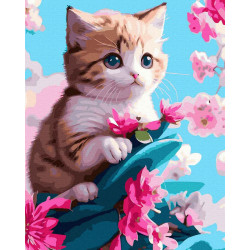 MALOWANIE PO NUMERACH MAŁY KOTEK Outlet