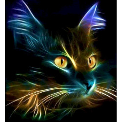 MALOWANIE PO NUMERACH KOT CZARNY ELEKTRO PORTRET Outlet