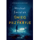 ŚNIEG PRZYKRYJE Michał Śmielak