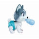 PIESEK HUSKY PAMPER PETZ W WANNIE Outlet