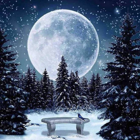 DIAMENTOWA MOZAIKA ZIMOWY KSIĘŻYC NO-1009202 Outlet