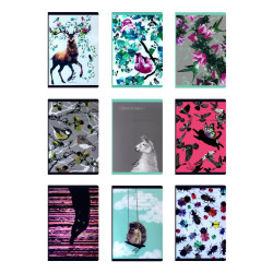 Narcissus Zeszyt A4 PP Fun II czysty 60 kartek MIX WZORÓW