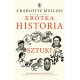 KRÓTKA HISTORIA SZTUKI WYD. 2024 Charlotte Mullins