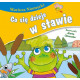 Co się dzieje w stawie bajki dla malucha Mariusz Niemycki