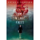 Co zdarzyło się w Lake Falls Artur K. Dormann