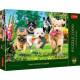 PUZZLE 1000 PREMIUM PLUS NADCHODZĄ KŁOPOTY 10800
