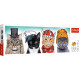 PUZZLE 500 PANORAMICZNE PUSZYSTA EKIPA 29504