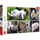 PUZZLE 1500 KOCIE SPRAWY KOLAŻ 26145