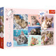 PUZZLE 100 W KOCIM ŚWIECIE 16420 Outlet
